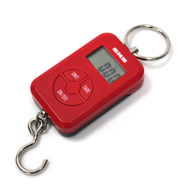 Balance Électronique Portable à Main, 50kg/10g, Balance Numérique pour Bagages