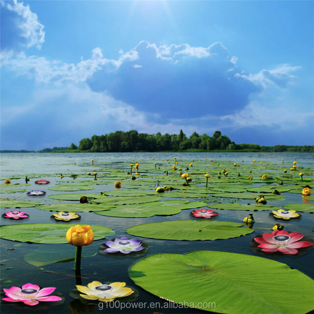 Lampes solaires flottantes pour étang de lotus, décoration de jardin