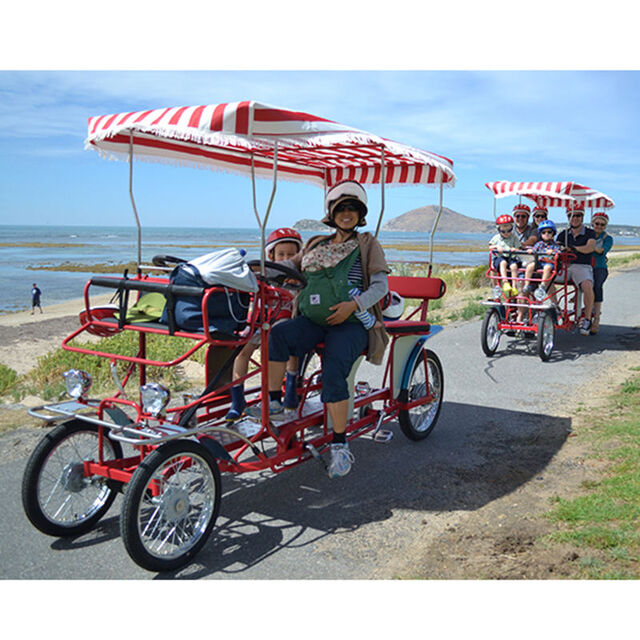 Bicicleta Surrey de Cuatro Ruedas en Tandem para Alquiler en Parques