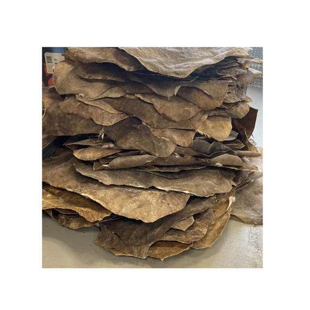 Fourniture en Gros de Peaux de Chèvre Abordables, Peaux de Chèvre Crues de Qualité Supérieure pour la Fabrication de Cuir et l'Usage Industriel