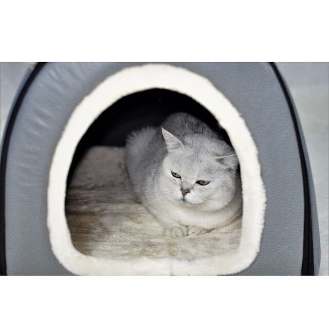 Cama para Perros, 2 Formas de Uso, Casa para Mascotas de Interior con Alfombrilla Mullida, Funda Extraíble y Lavable