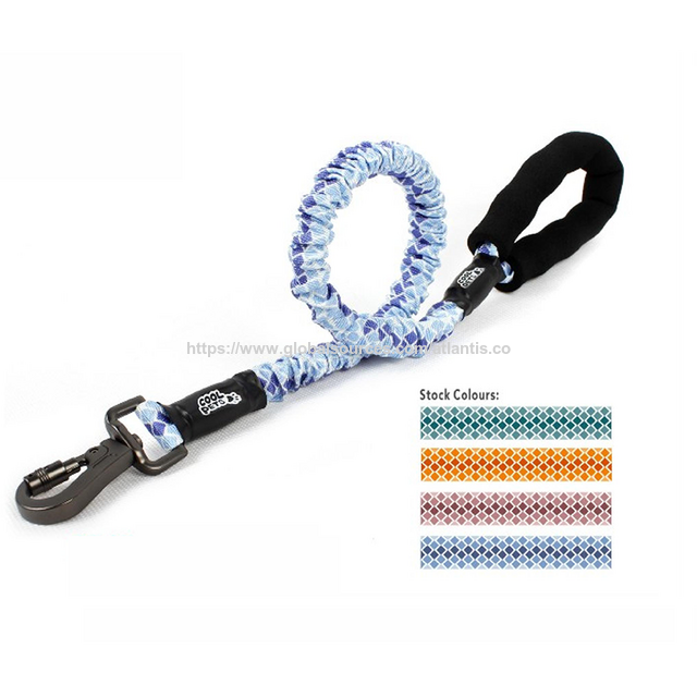 Laisse pour animaux de compagnie, cordelette en nylon réfléchissante à LED, laisse pour petit chien, collier pour animaux de compagnie, fournitures pour animaux