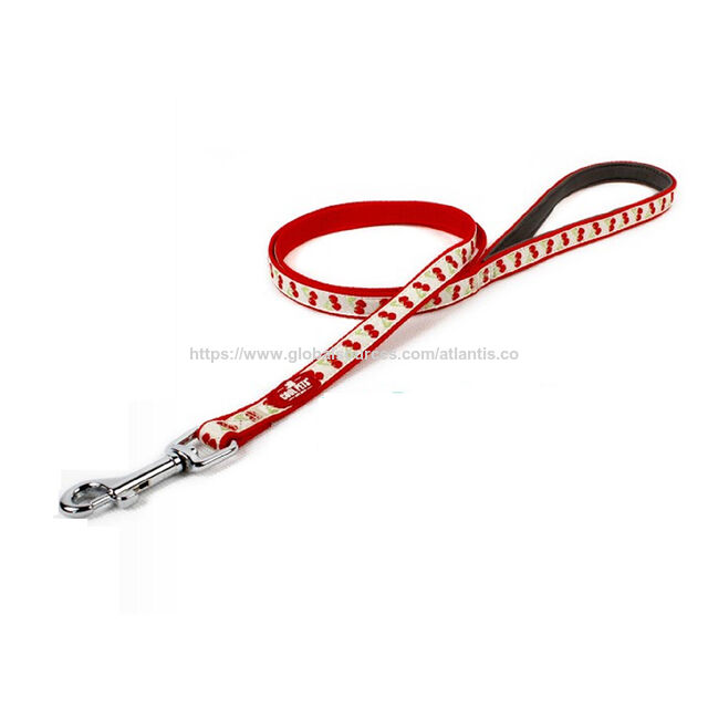 Laisse pour animaux de compagnie, cordelette en nylon réfléchissante à LED, laisse pour petit chien, collier pour animaux de compagnie, fournitures pour animaux