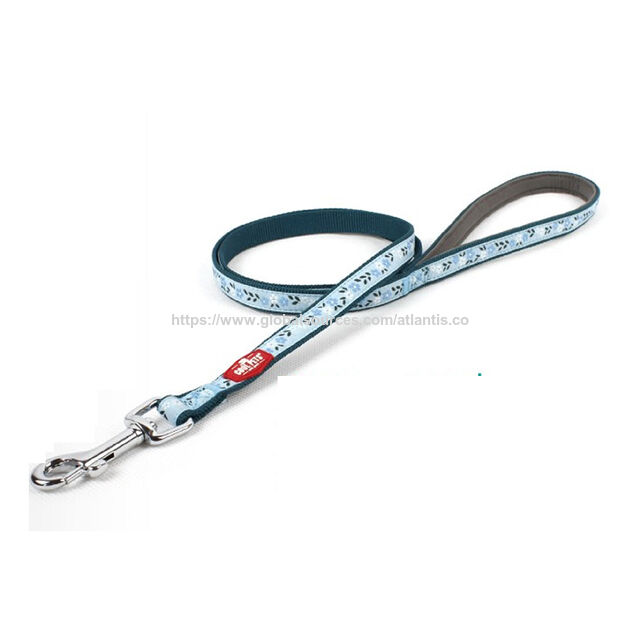 Laisse pour animaux de compagnie, cordelette en nylon réfléchissante à LED, laisse pour petit chien, collier pour animaux de compagnie, fournitures pour animaux