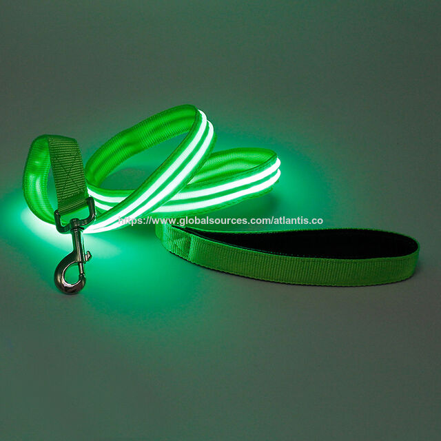 Laisse pour animaux de compagnie, cordelette en nylon réfléchissante à LED, laisse pour petit chien, collier pour animaux de compagnie, fournitures pour animaux