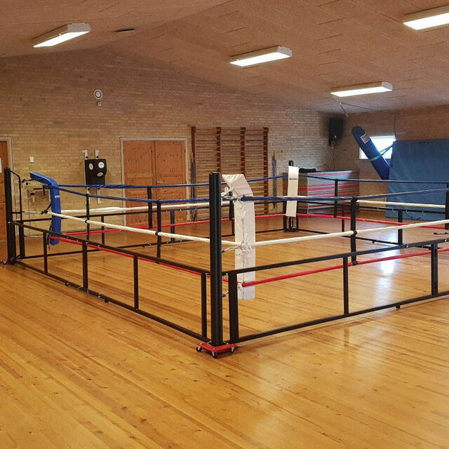 Fortschrittlicher, anpassbarer, faltbarer, tragbarer Boxring