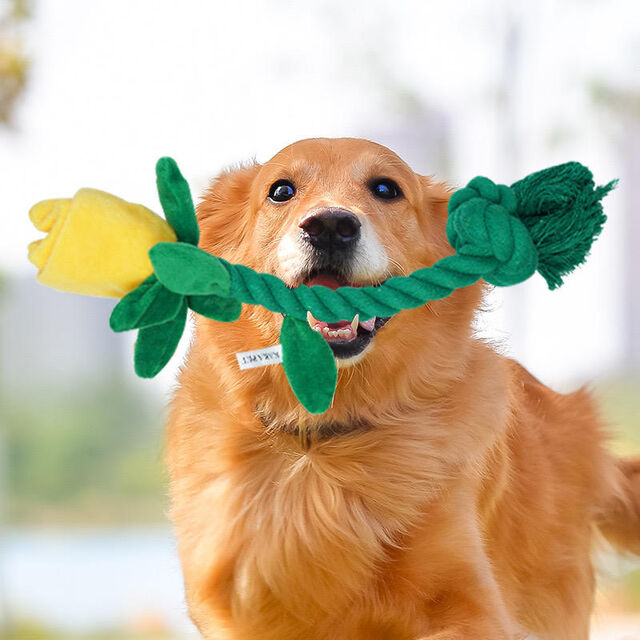 Vielseitiges Valentinstags-Rosen-Quietsch-Hunde-Seilspielzeug mit verstecktem Quietscher