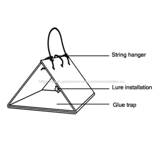 Pièges Collants Delta en Plastique Calcique pour Mouches et Insectes Volants - Contrôle des Mites