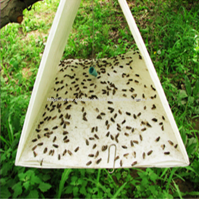 Pièges Collants Delta en Plastique Calcique pour Mouches et Insectes Volants - Contrôle des Mites