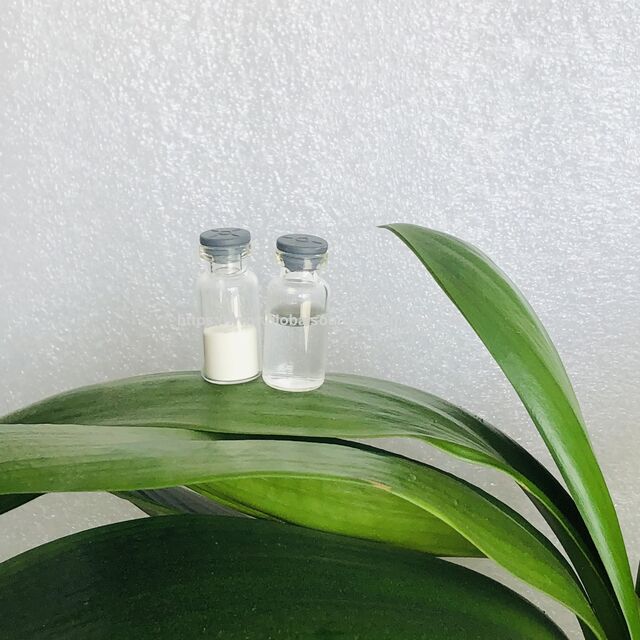 Peptides de Régulation Métabolique | Formule Révolutionnaire pour le Tissu Adipeux