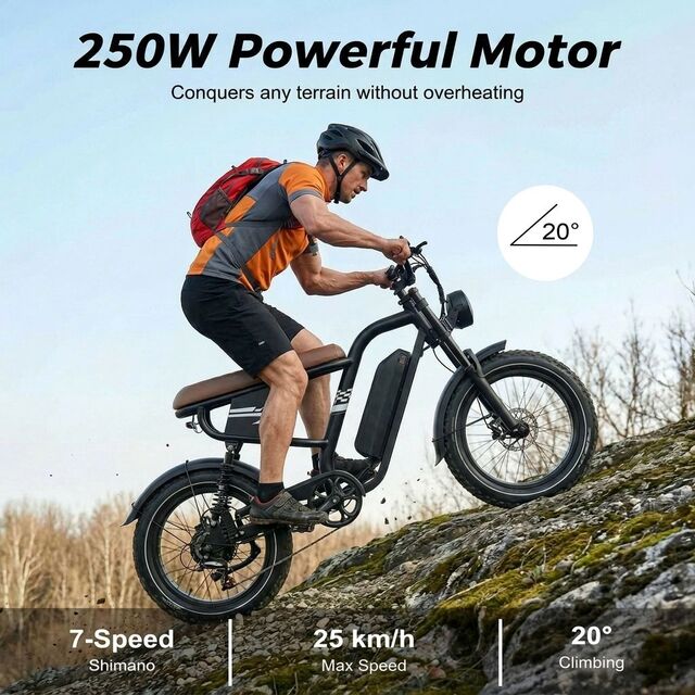 Retro E-Bikes mit 7 Gängen und abnehmbarem Akku, vollgefedert