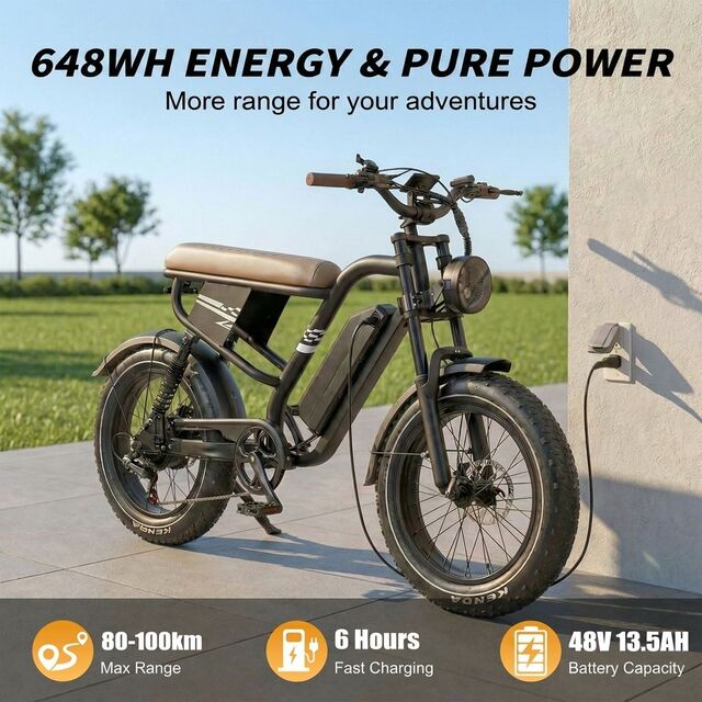 Retro E-Bikes mit 7 Gängen und abnehmbarem Akku, vollgefedert
