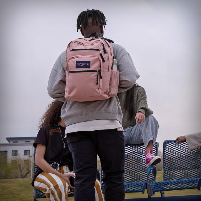 Laptop-Rucksack, Computertasche mit 2 Fächern, ergonomischen Schultergurten, 15-Zoll-Laptopfach, Tragegriff - Schwarz