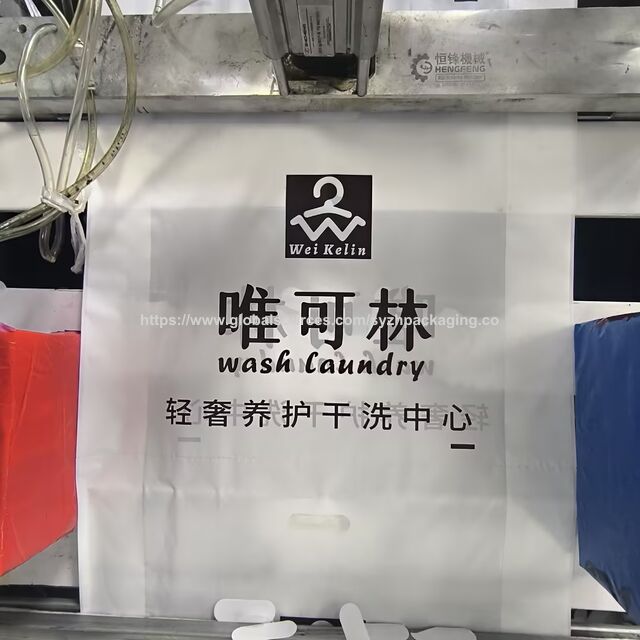 Pochette Plate en PE de Qualité Alimentaire avec Logo Personnalisé, Sac d'Emballage Alimentaire en Plastique Thermoscellable et Imperméable