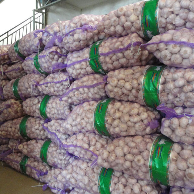 Hot Sale Fresh Garlic /red Garlic/Normal White Garlic Supplier Peeled Garlic Fresh Normal White Nice Garlic