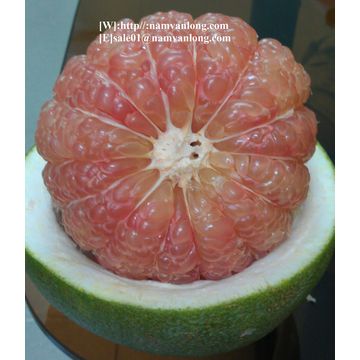 Vietnam Fresh Pomelo Retailing Pomelo Green Skin Pomelo Big Size For Sale Global Sources