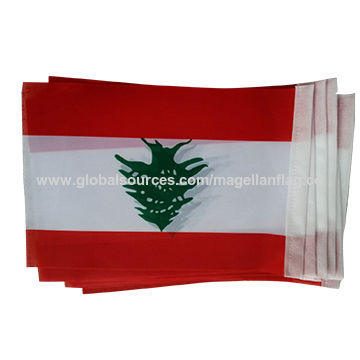 Holiday Decorative Flag Banners For Advertising Custom Design