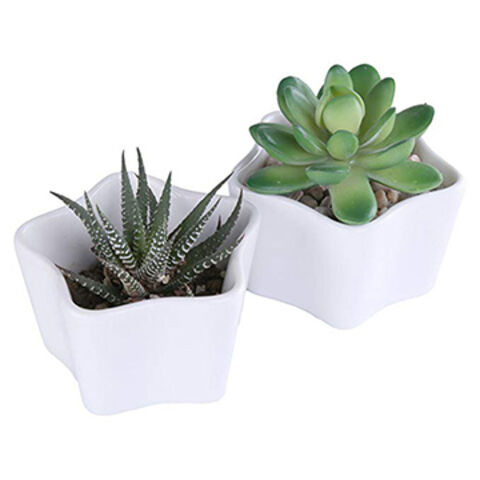 China Star Shaped Custom White Ceramic Flower Plant Pot Cactus ...