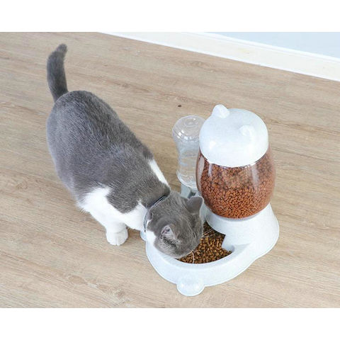 auto feeding cat bowl