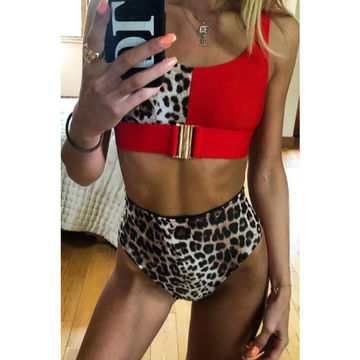 leopard print swimsuit two piece