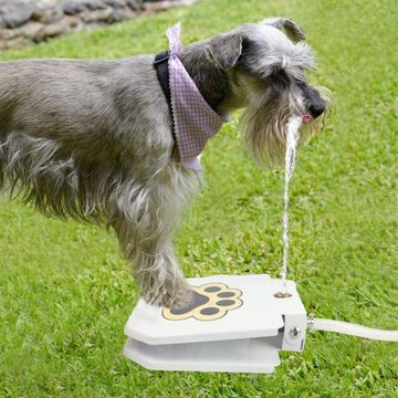 Pet Dog Activated Fountain Outdoor 40 Hose Spray Paw Water