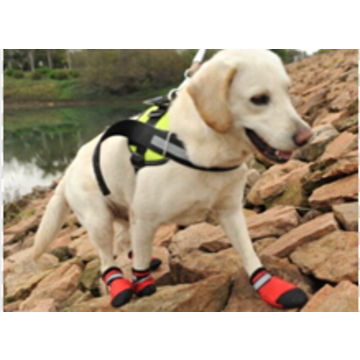 walking boots for dogs