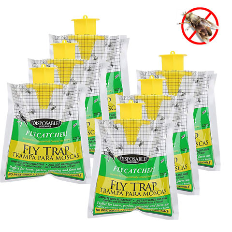 China Disposable Outdoor Non Toxic Powdered Attractant Catches Multiple 