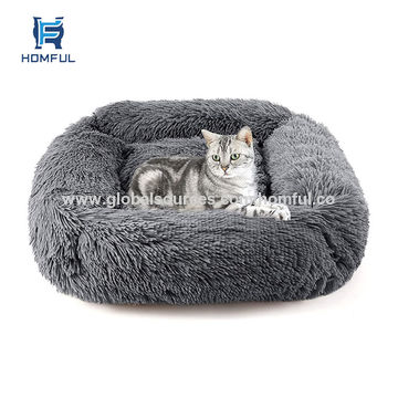 proudly blessed cat bed