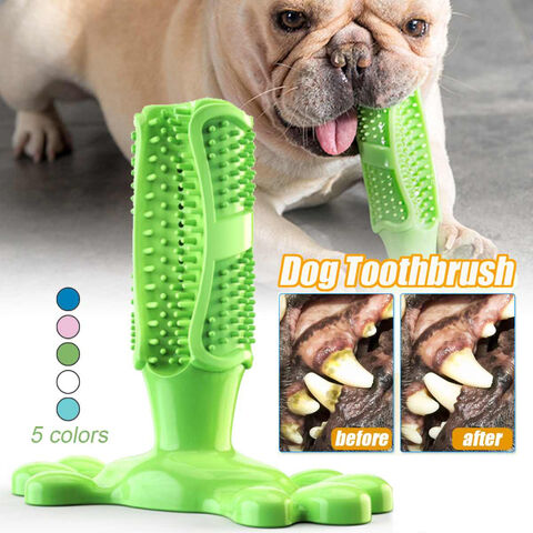 soft dog toothbrush