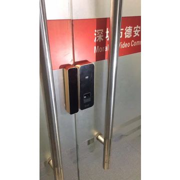 China Fingerprint Password Glass Door Lock From Shenzhen