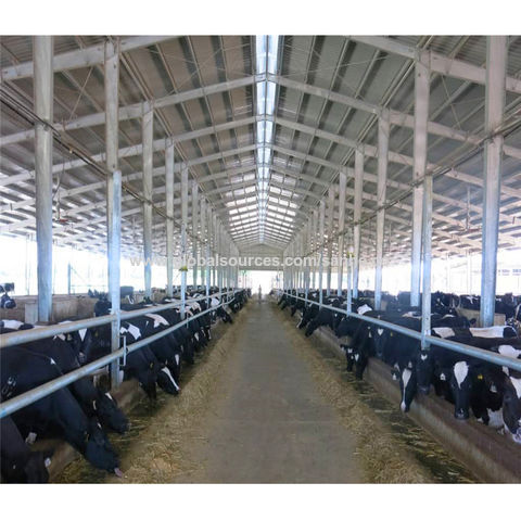 China Prefabricated steel structure dairy farm shed metal cow shed on ...