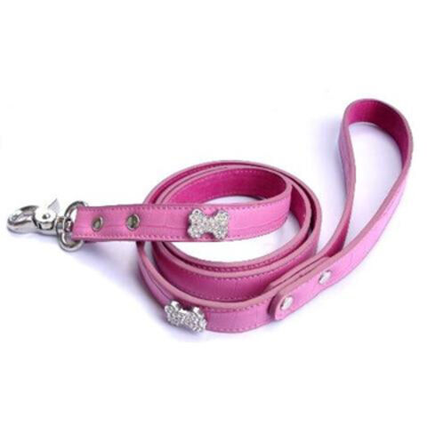 crocodile dog collar