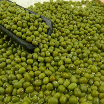 China High Quality Green Mung Beans For Hot Price Sale On Global Sources Mung Bean Beans Grains