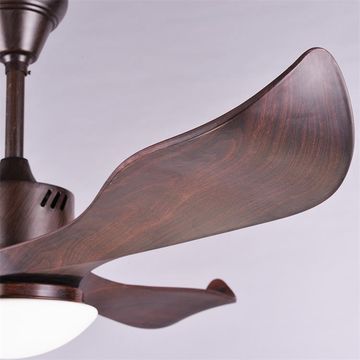 Ceiling Installation And Electric Power Source Ceiling Fan With