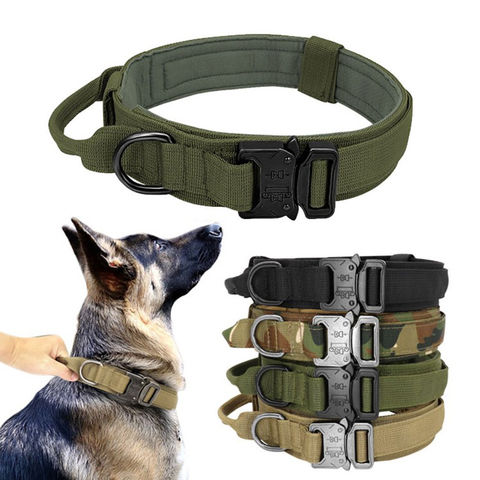 combat dog collars