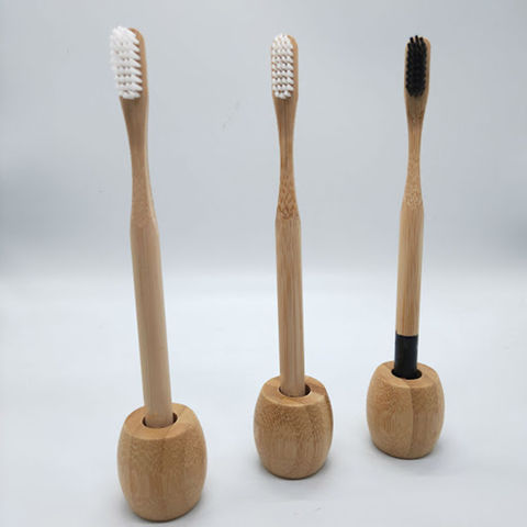 biodegradable brush