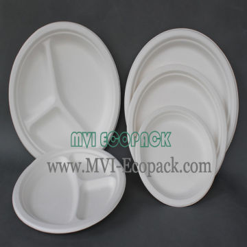 china paper plates