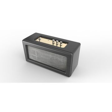 20 watts rms