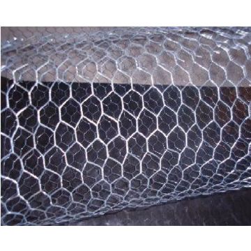 China Small Bird Cage Mesh 12 Inch Chicken Wire From Hengshui