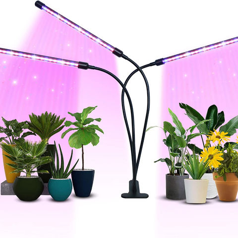 grow lights timing