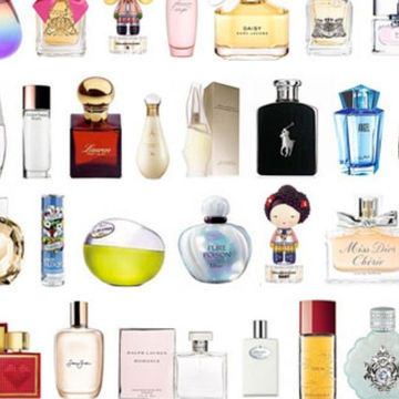 difference between niche and designer fragrances