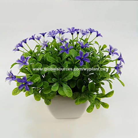 China Small Mini Pe Leaves Purple Flowers Bonsai With White Plastic Pot On Global Sources Mini Bonsai Plastic Leaves Bonsai Grass Bonsai