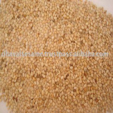 Sesame Seed From Gujarat Origin Global Sources Sesame Seed From Gujarat Origin