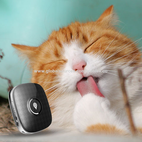 mini cat tracker