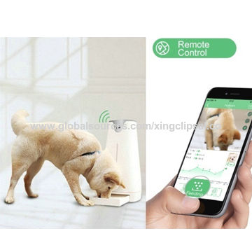 Wifi App Control Automatic Smart Pet Feeder For Dogs Cat With