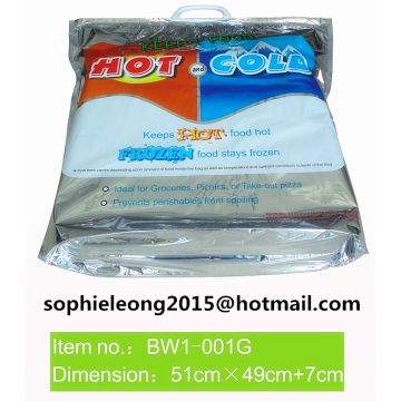 hot cold cooler bag