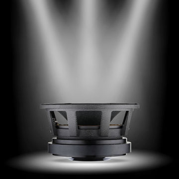 speaker professional