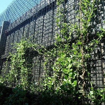 3d Galvanized Welded Wire Trellis System Creates Both Vertical And Espaliated Green Wall Global Sources - Green Wall Garden Wire Trellis System