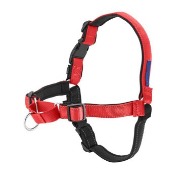 blush dog harness