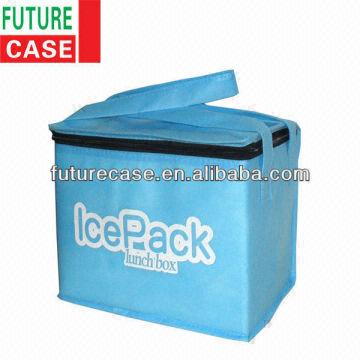 disposable ice box